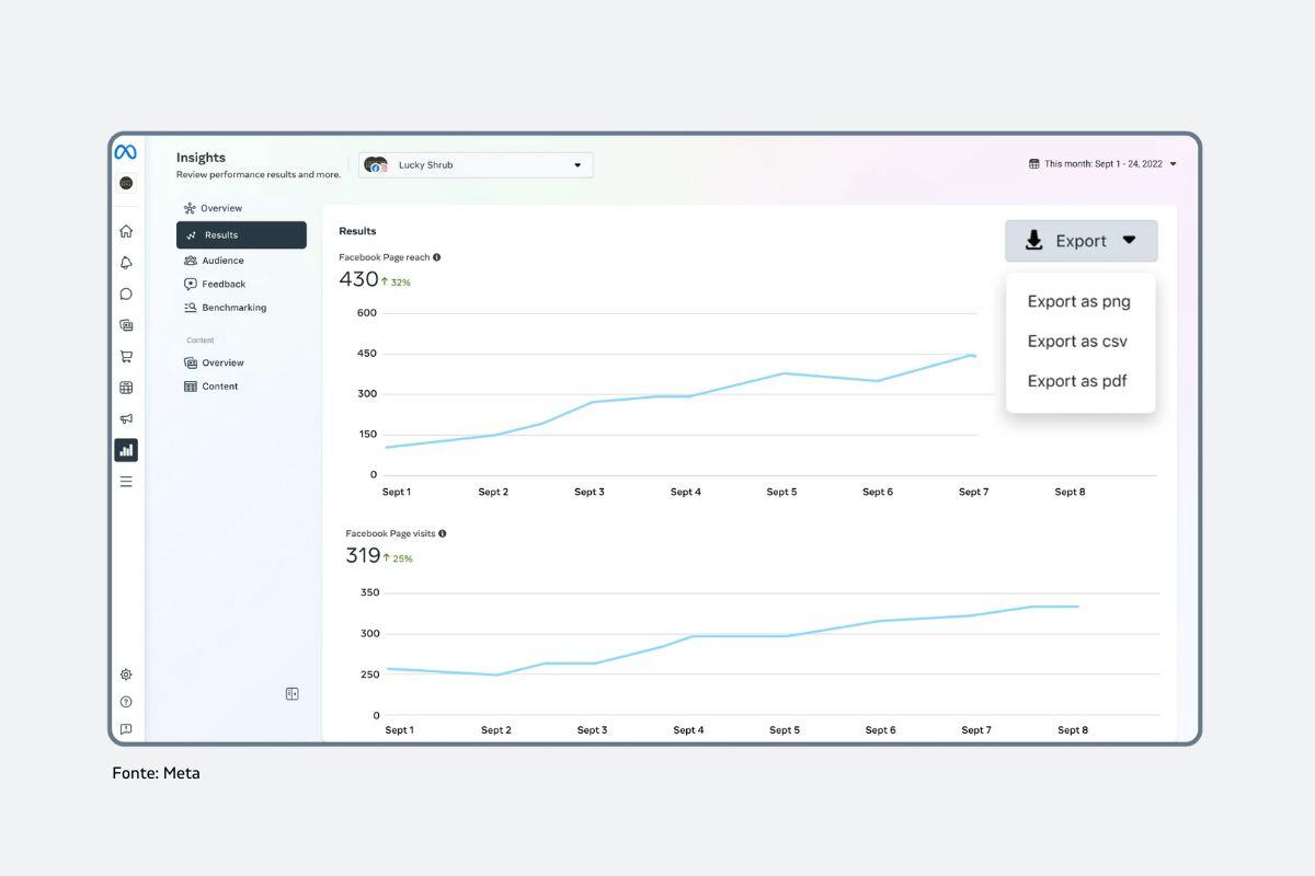 Webeing.net blog Approccio data driven nella Customer Intelligence_Fonte Meta